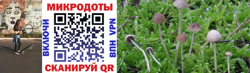 Псилоцибиновые грибы мухоморы  Дно 
